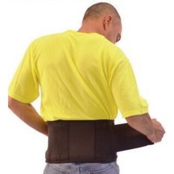 Economy Back Support Brace without Suspenders